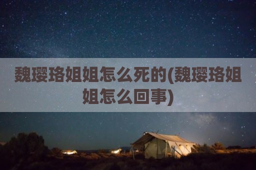魏璎珞姐姐怎么死的(魏璎珞姐姐怎么回事)