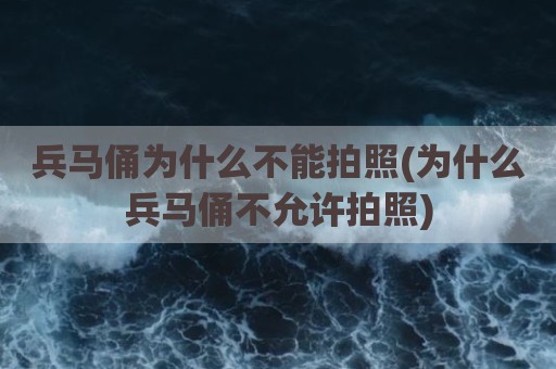 兵马俑为什么不能拍照(为什么兵马俑不允许拍照)