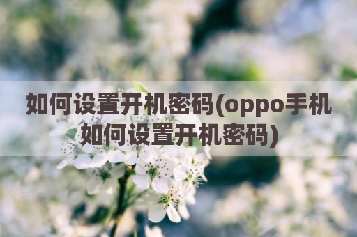 如何设置开机密码(oppo手机如何设置开机密码)