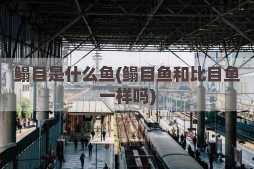 鳎目是什么鱼(鳎目鱼和比目鱼一样吗)
