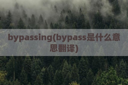 bypassing(bypass是什么意思翻译)