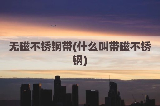 无磁不锈钢带(什么叫带磁不锈钢)