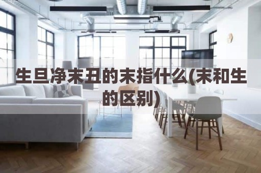 生旦净末丑的末指什么(末和生的区别)