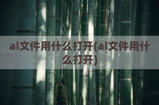 ai文件用什么打开(ai文件用什么打开)
