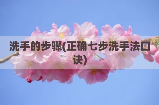洗手的步骤(正确七步洗手法口诀)