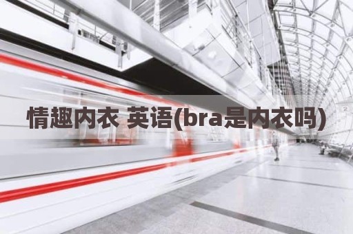 情趣内衣 英语(bra是内衣吗)