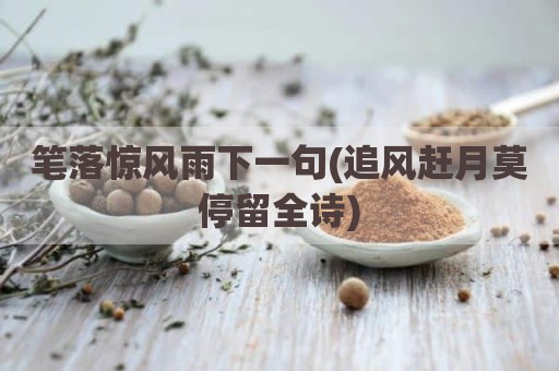 笔落惊风雨下一句(追风赶月莫停留全诗)