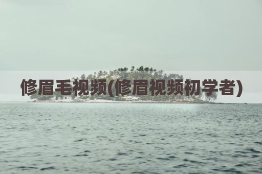 修眉毛视频(修眉视频初学者)