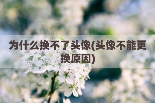 为什么换不了头像(头像不能更换原因)