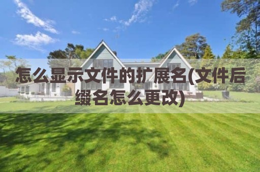 怎么显示文件的扩展名(文件后缀名怎么更改)