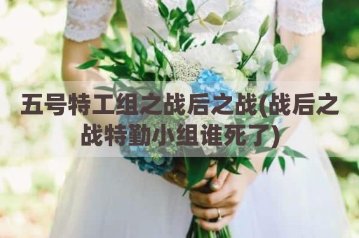 五号特工组之战后之战(战后之战特勤小组谁死了)