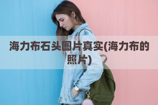 海力布石头图片真实(海力布的照片)