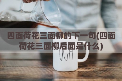 四面荷花三面柳的下一句(四面荷花三面柳后面是什么)