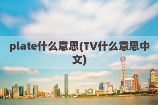 plate什么意思(TV什么意思中文)