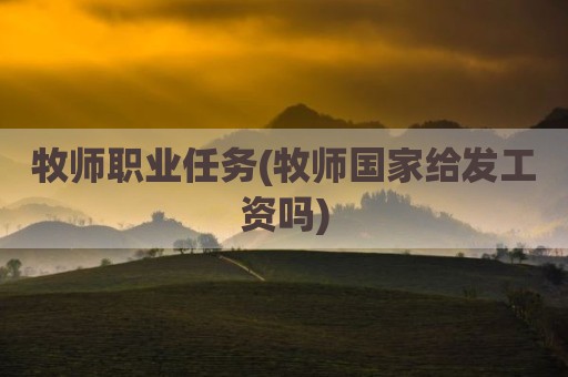 牧师职业任务(牧师国家给发工资吗)