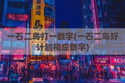 一石二鸟打一数字(一石二鸟好计划相应数字)