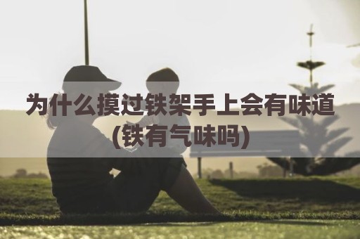 为什么摸过铁架手上会有味道(铁有气味吗)