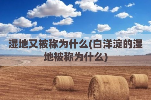 湿地又被称为什么(白洋淀的湿地被称为什么)