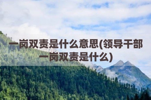 一岗双责是什么意思(领导干部一岗双责是什么)