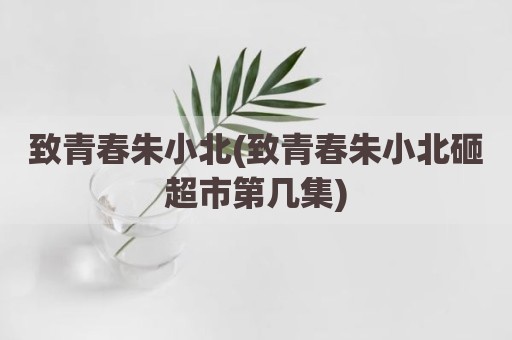 致青春朱小北(致青春朱小北砸超市第几集)