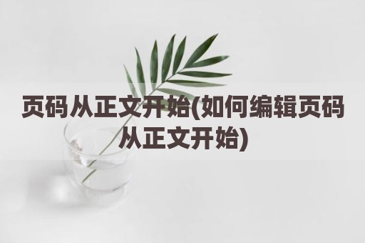 页码从正文开始(如何编辑页码从正文开始)