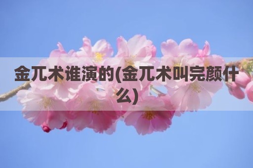 金兀术谁演的(金兀术叫完颜什么)