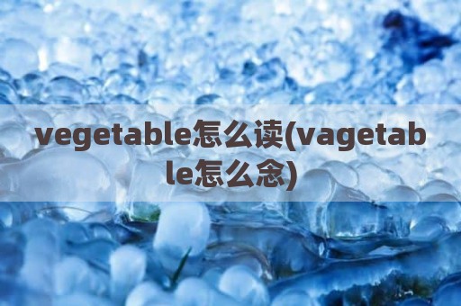 vegetable怎么读(vagetable怎么念)