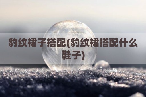 豹纹裙子搭配(豹纹裙搭配什么鞋子)