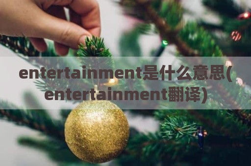 entertainment是什么意思(entertainment翻译)