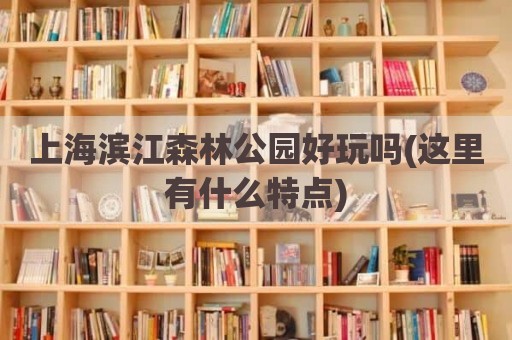 上海滨江森林公园好玩吗(这里有什么特点)