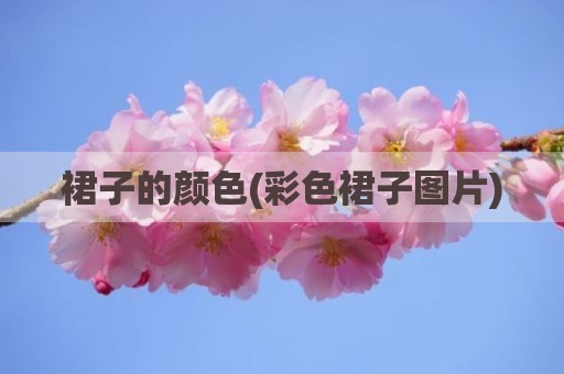 裙子的颜色(彩色裙子图片)