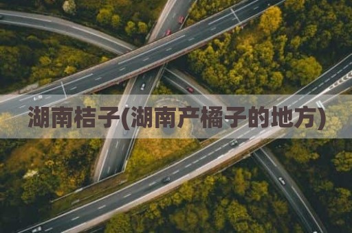 湖南桔子(湖南产橘子的地方)