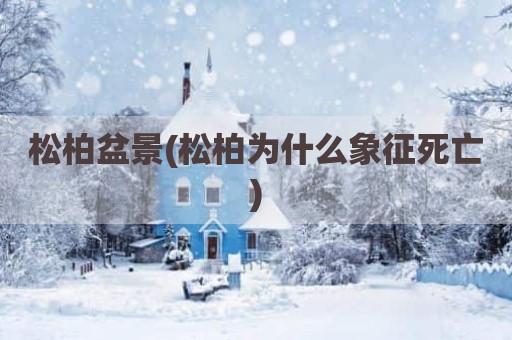 松柏盆景(松柏为什么象征死亡)