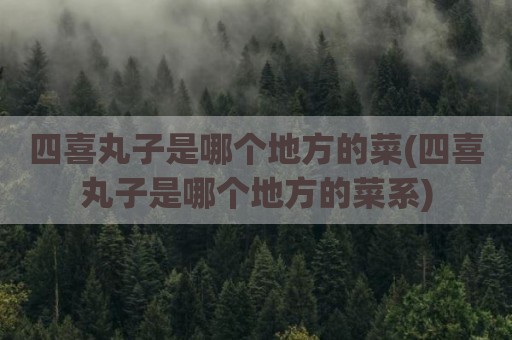 四喜丸子是哪个地方的菜(四喜丸子是哪个地方的菜系)