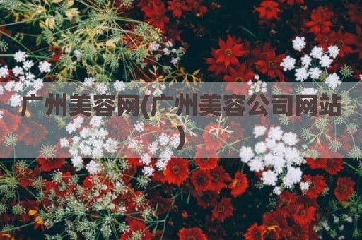 广州美容网(广州美容公司网站)
