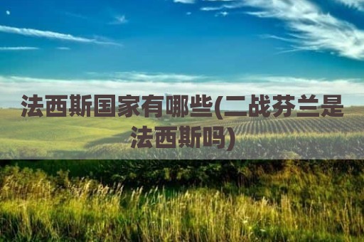 法西斯国家有哪些(二战芬兰是法西斯吗)