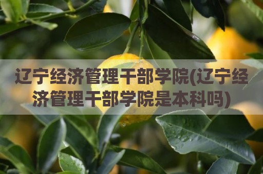 辽宁经济管理干部学院(辽宁经济管理干部学院是本科吗)