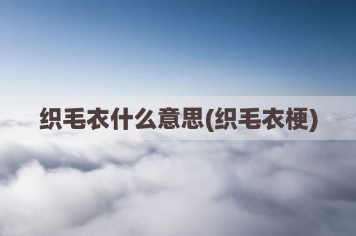 织毛衣什么意思(织毛衣梗)