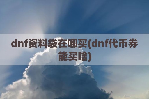 dnf资料袋在哪买(dnf代币券能买啥)