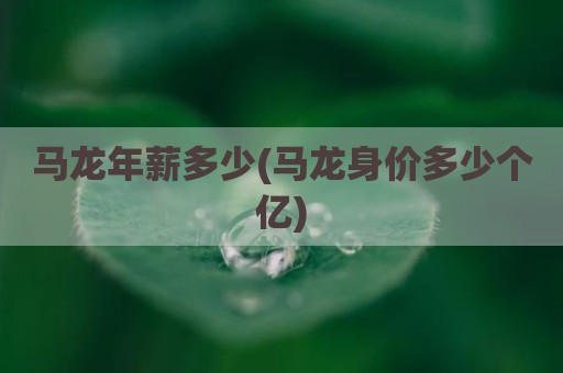 马龙年薪多少(马龙身价多少个亿)