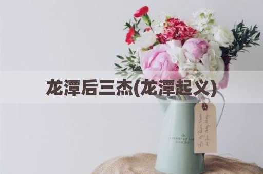 龙潭后三杰(龙潭起义)