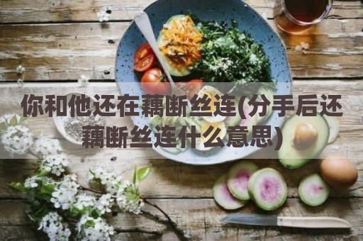 你和他还在藕断丝连(分手后还藕断丝连什么意思)