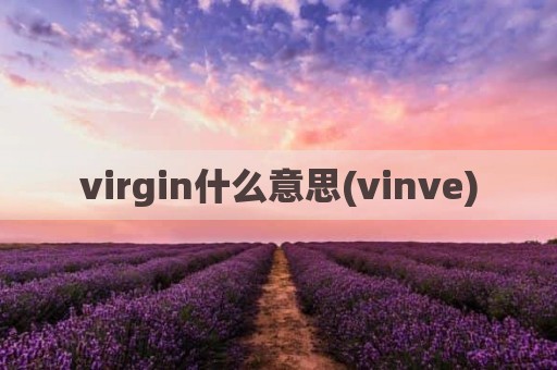 virgin什么意思(vinve)