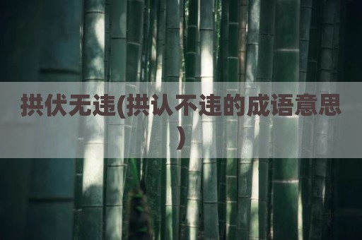 拱伏无违(拱认不违的成语意思)