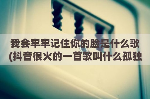 我会牢牢记住你的脸是什么歌(抖音很火的一首歌叫什么孤独)