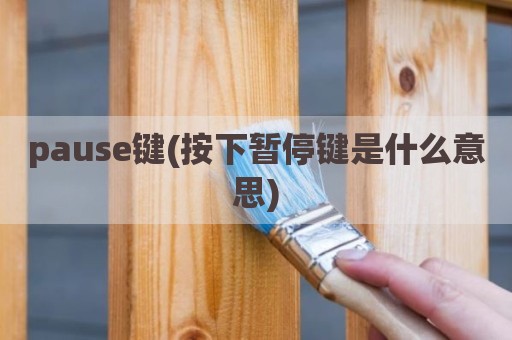 pause键(按下暂停键是什么意思)
