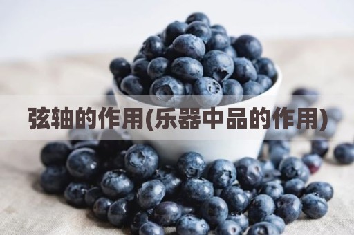 弦轴的作用(乐器中品的作用)