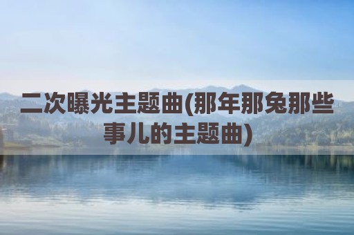 二次曝光主题曲(那年那兔那些事儿的主题曲)