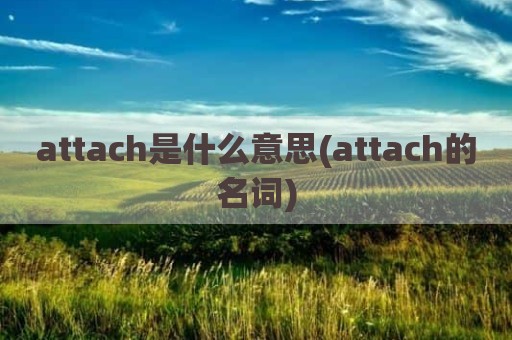 attach是什么意思(attach的名词)