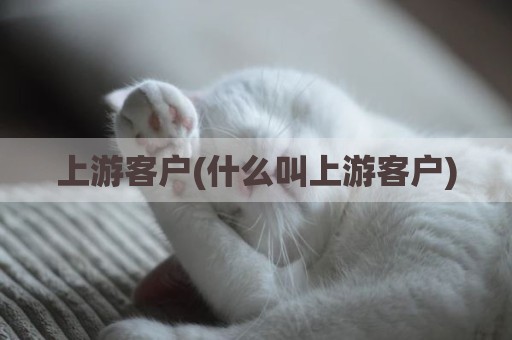 上游客户(什么叫上游客户)